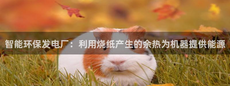 九游会上不去了