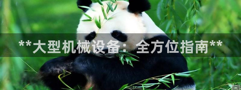 j9九游会网址是什么