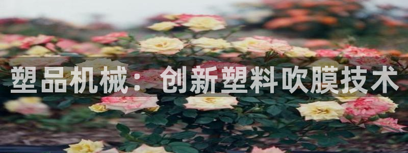ag九游老哥俱乐部