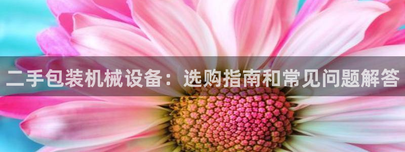 ag九游会app下载版官网正版