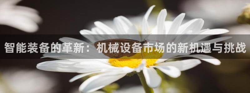 九游会提款安全吗